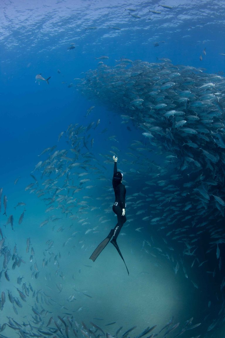 Hanli Prinsloo swimming in the sea