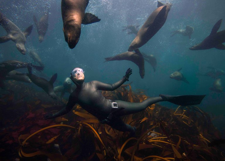 Hanli Prinsloo swimming with dolphins