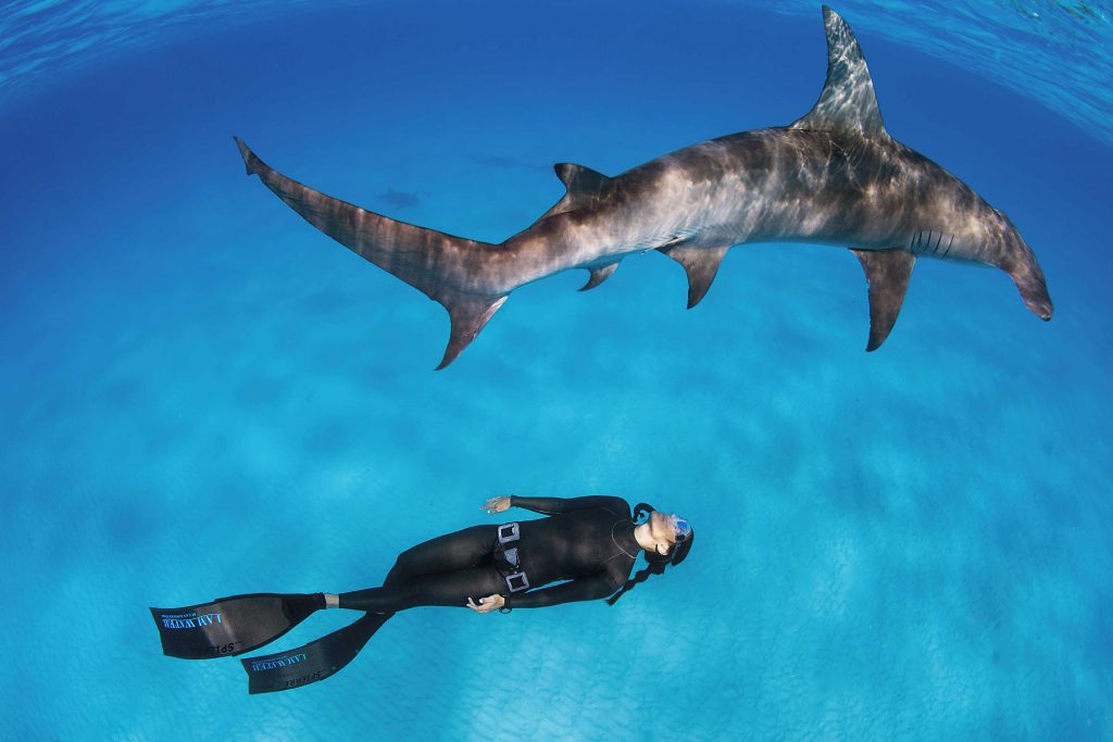 Hanli Prinsloo swimming with dolphins